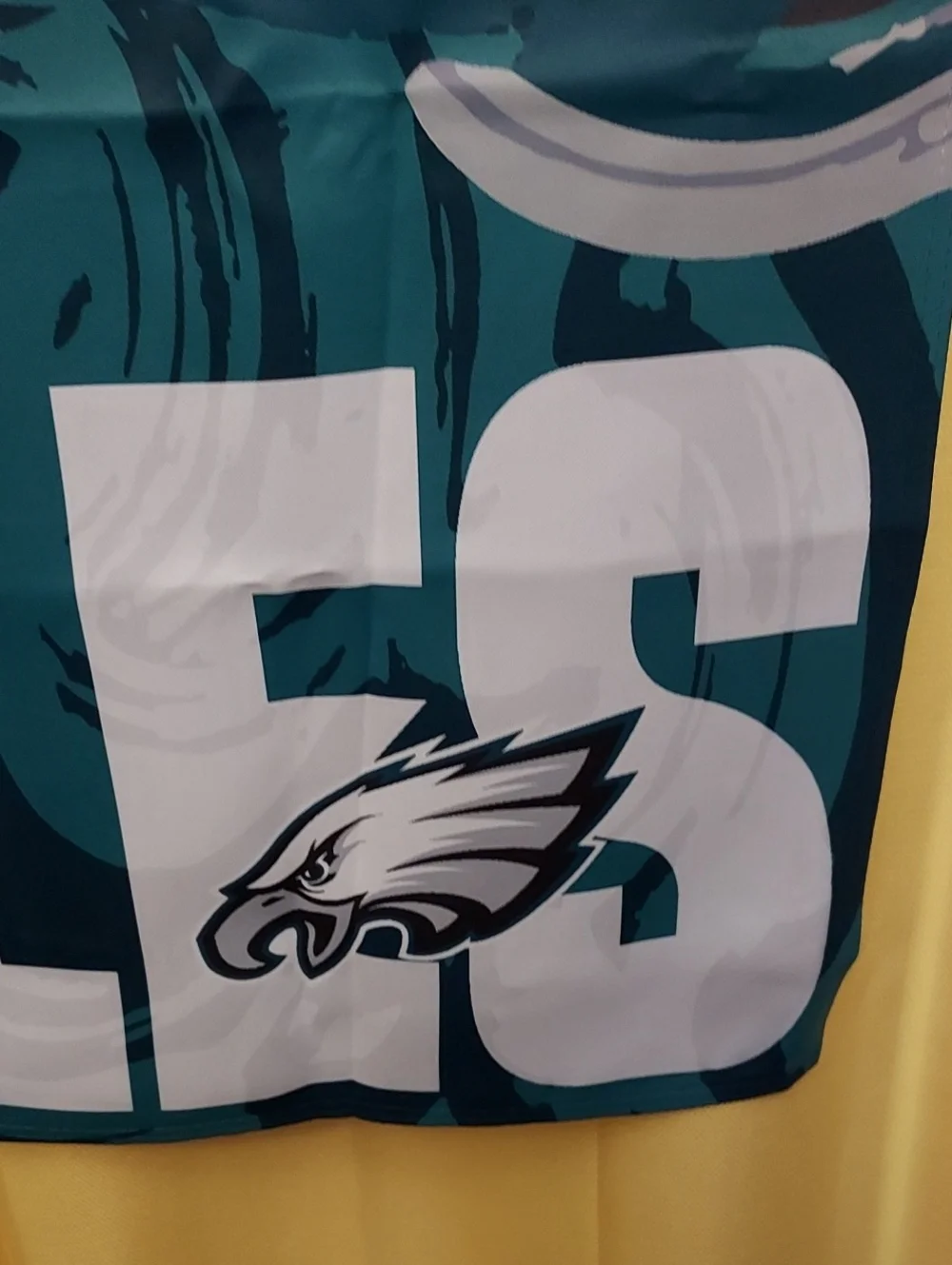 Philadelphia Eagles Flag